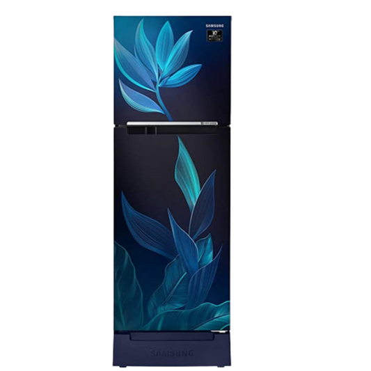 Samsung Double Door 2 Star Inverter Frost-Free Refrigerator (253 L ) (RT28T31429U/HL, Paradise Blue, Base Stand with Drawer)