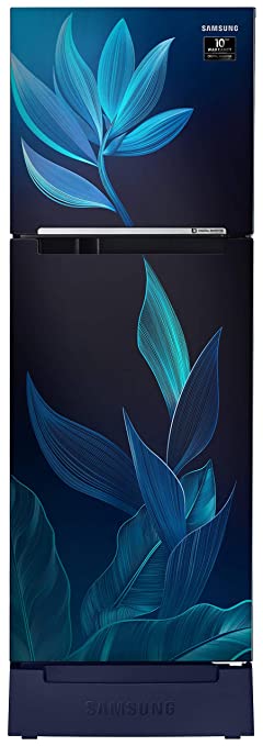 Samsung Double Door 2 Star Inverter Frost-Free Refrigerator (253 L ) (RT28T31429U/HL, Paradise Blue, Base Stand with Drawer)